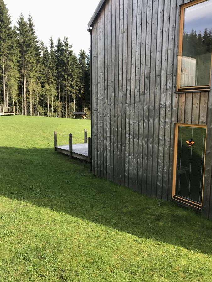 Chalet6Harrachov Se Saunou Esterno foto